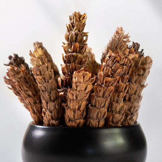 神农金康 夏枯草30g/罐 精选干货 滋补养生茶饮 原生态真滋补 喝护家人健康 商品图6