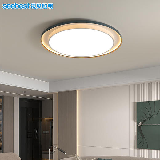 伽罗大圆-客卧灯（2.4G视贝智家） 商品图1