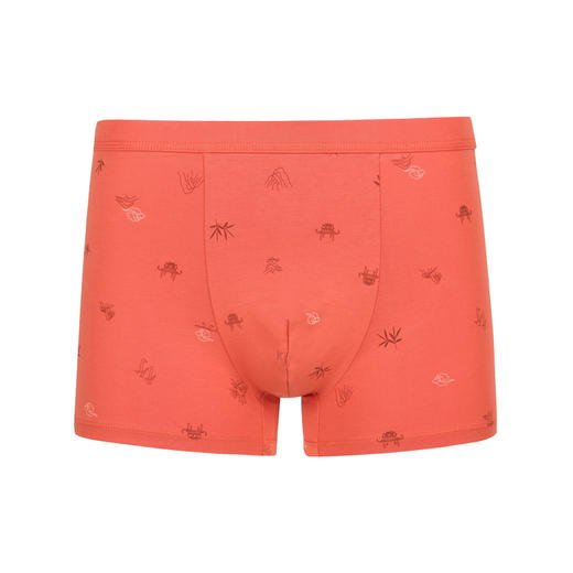 都市丽人日常休闲棉拉架平角裤男士内裤FK3BA1 商品图4