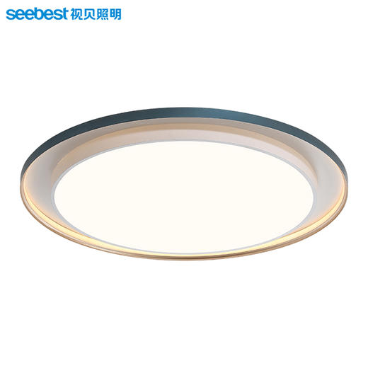 伽罗大圆-客卧灯（2.4G视贝智家） 商品图5