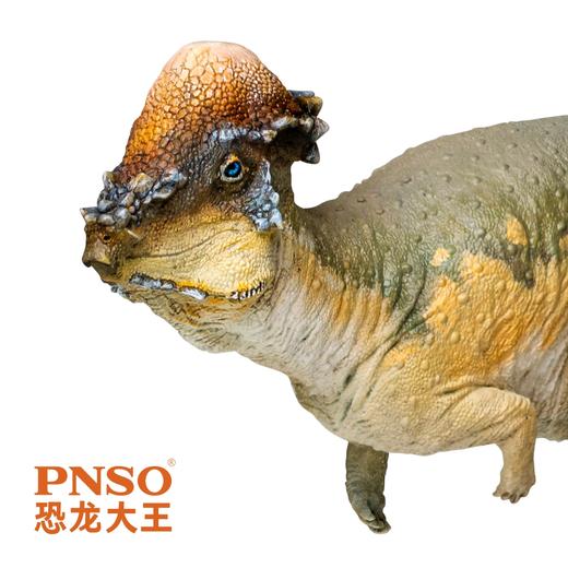 PNSO肿头龙奥斯汀恐龙大王成长陪伴模型46 商品图3