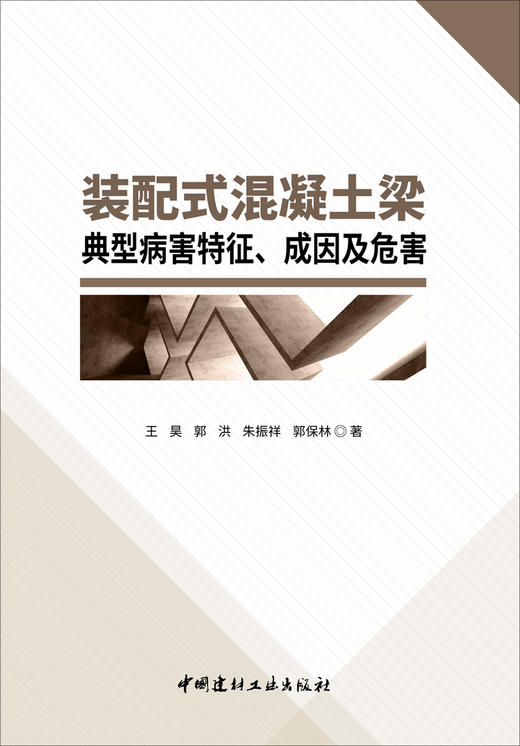 装配式混凝土梁典型病害特征、成因及危害 商品图2
