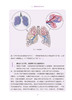 正版现货 肺癌 肿瘤科普百科丛书 吴楠主编 肺癌基本情况病因诊断检查治疗预后常见问题 科普书 人民卫生出版社9787117332170 商品缩略图3