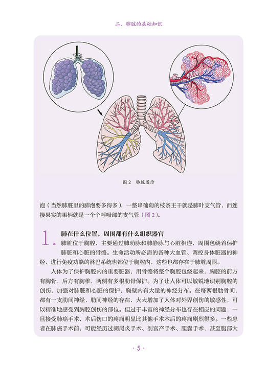 正版现货 肺癌 肿瘤科普百科丛书 吴楠主编 肺癌基本情况病因诊断检查治疗预后常见问题 科普书 人民卫生出版社9787117332170 商品图3