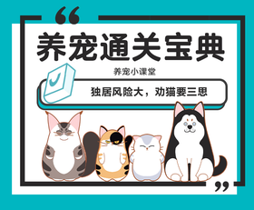 独居风险大，劝猫要三思