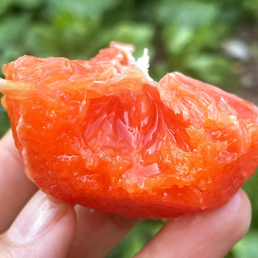 『秭归中华红橙』鲜甜爆汁，清爽解腻，富含天然茄红素、花青素 商品图2