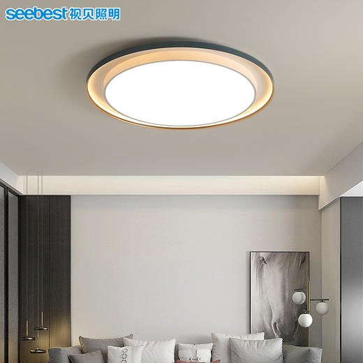 伽罗大圆-客卧灯（2.4G视贝智家） 商品图3