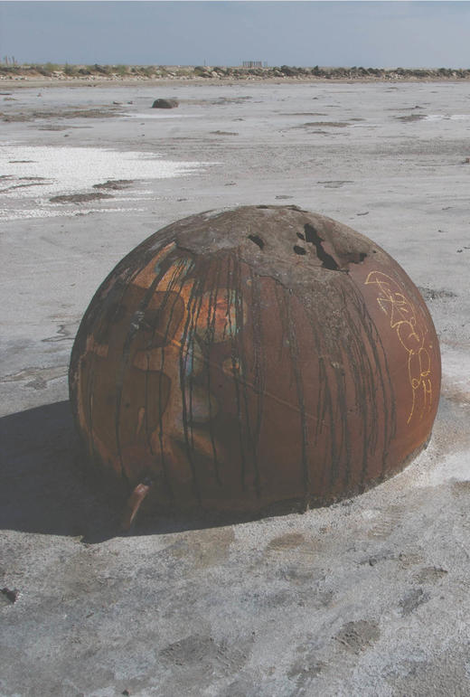 Ambiguous Territory，有争议领地：建筑、景观与后自然，建筑 商品图1