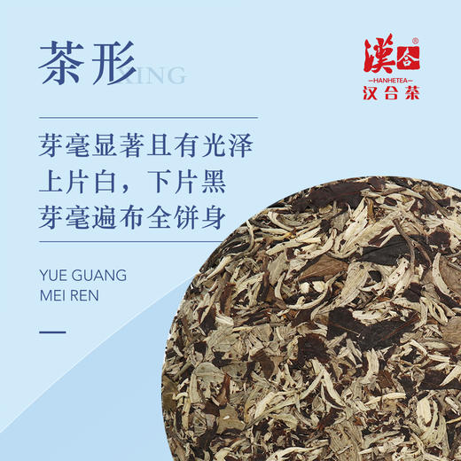 汉合茶叶 茶之梦 月光美人2019 既有白茶的清香，又具普洱茶的醇厚 商品图2