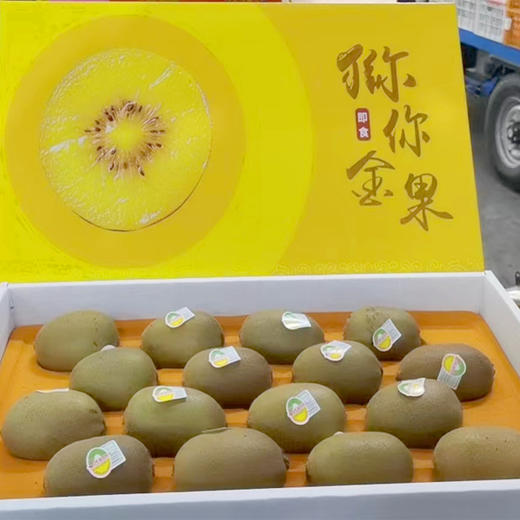 【49元/盒】猕你金果手提礼盒（1501763） 商品图0