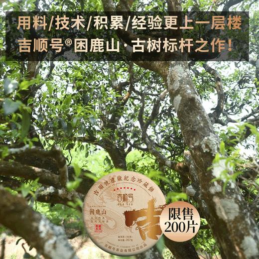 吉顺号建厂纪念珍藏饼困鹿山古树普洱生茶饼357g 商品图5