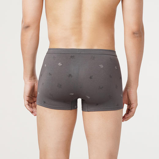 都市丽人日常休闲棉拉架平角裤男士内裤FK3BA1 商品图2