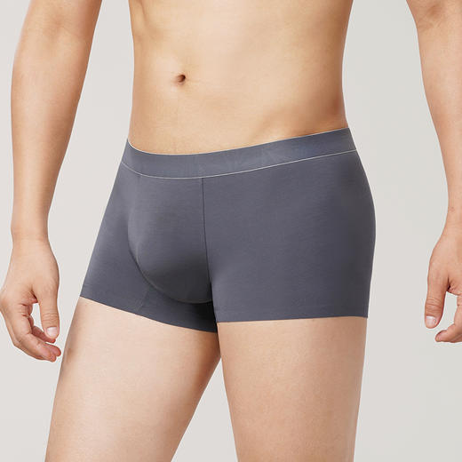 都市丽人铂金舒适80S莫代尔平角裤男士内裤FK34A3 商品图1