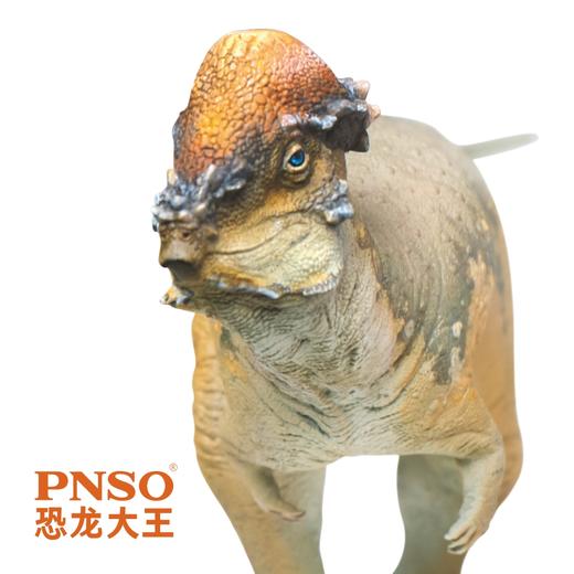 PNSO肿头龙奥斯汀恐龙大王成长陪伴模型46 商品图5