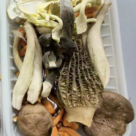 云南FD冻干菌汤包30g 商品图1