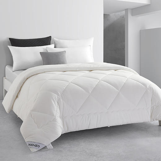 （分两个包裹）KRT-016S炫彩虎头毯（红）+丽肤绒纤维被KXW-021【KGCJ8.9】 商品图3