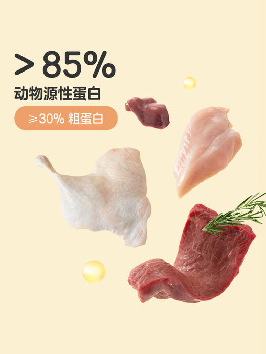 【拼团专用链接】网易严选猫粮合集 商品图3