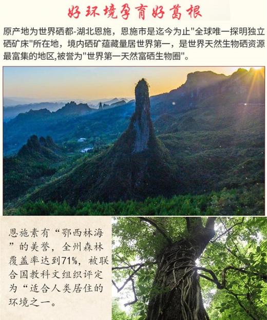 世界硒都华中药库恩施山珍鄂旅情葛根粉 商品图3