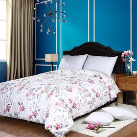 锦泰丰桑蚕长丝被专享组