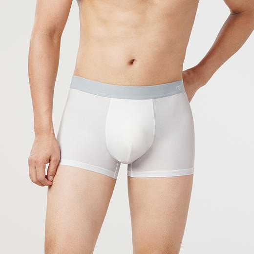 都市丽人简约基础冰丝平角裤男士内裤FK3CB1 商品图8