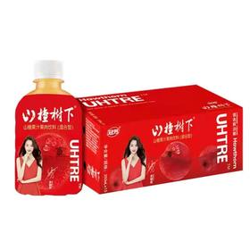 冠芳山楂树下350ml×15瓶