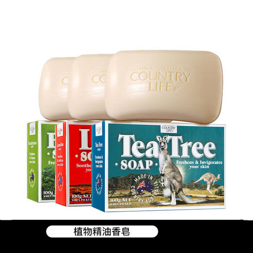 【中欧班列精选】澳洲手工皂 原装进口卡曼丹Country Life(乡间生活)  绵羊油皂洗脸洗澡沐浴天然茶树桉树手工皂 5块装 商品图6
