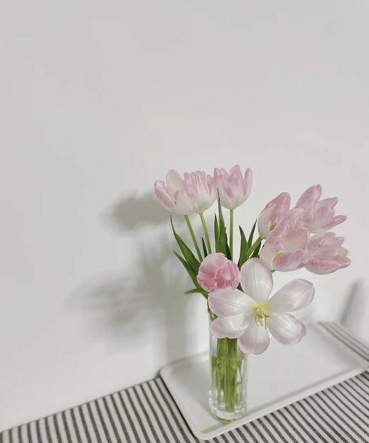 【方德郁金香】萌动 裸粉色 约9-10枝/扎 商品图3