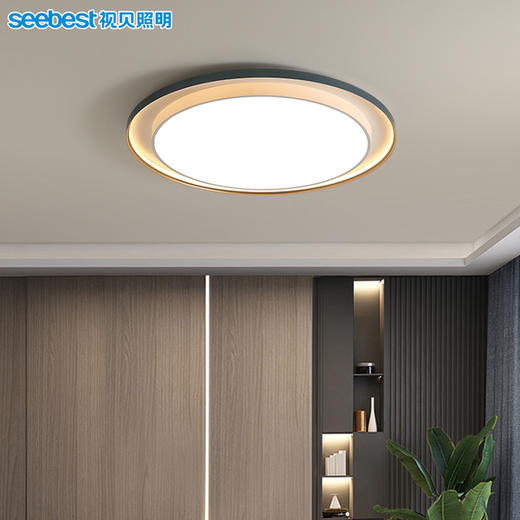 伽罗大圆-客卧灯（2.4G视贝智家） 商品图0