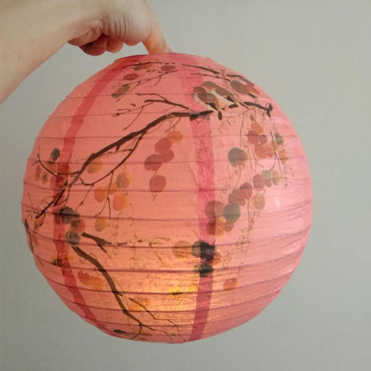 <有书独家>【元宵节】纸灯灯笼装饰春节元宵氛围挂饰国风笼中式手提花灯 suu01 商品图7