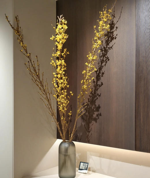 【招财进宝】进口寸寸金  约10枝/扎  70-110cm 商品图1