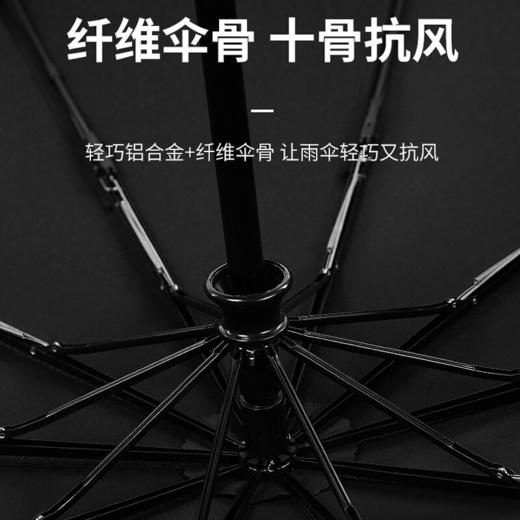 艾逸瑶选克里斯托弗自开收晴雨伞YS-1824 商品图4