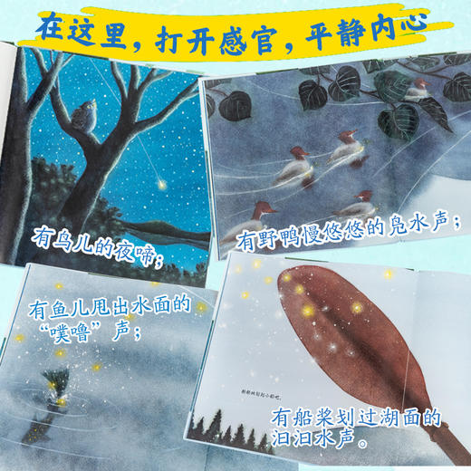 心喜阅绘本馆：安静的湖（精） 商品图2