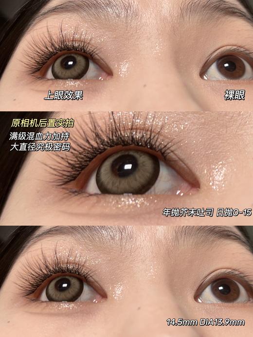 ocean girl 日抛 O-15 芥末吐司  直径14.5mm 着色13.9mm 商品图13