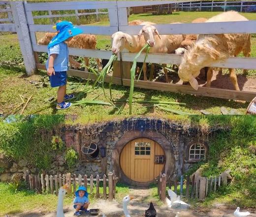 【房车奇遇·海南】 2天1晚 童话王国 房车露营自驾之旅 商品图3