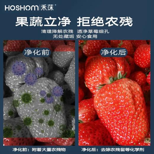 保食安 禾莯食品净化机家用洗菜机果蔬肉清洗机食材消毒器全自动 商品图2