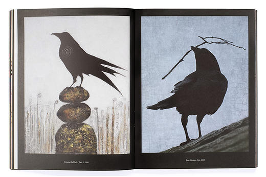 【现货】The Book of the Raven: Corvids in Art and Legend | 鸦之书 乌鸦艺术摄影集画册 英文原版图书 商品图2