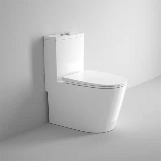 帝富龙 坐便器 9034   （30-35-40坑距通用） 商品图0