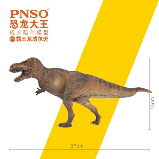 PNSO霸王龙威尔逊恐龙大王成长陪伴模型25 商品图2