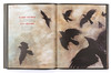 【现货】The Book of the Raven: Corvids in Art and Legend | 鸦之书 乌鸦艺术摄影集画册 英文原版图书 商品缩略图3