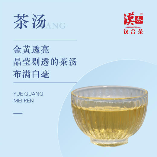 汉合茶叶 茶之梦 月光美人2019 既有白茶的清香，又具普洱茶的醇厚 商品图3