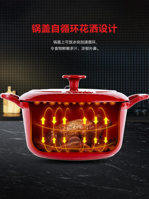 德国菲仕乐食色珐琅锅铸铁锅20CM家用耐高温明火燃气汤锅盅焖煮炖 商品图1