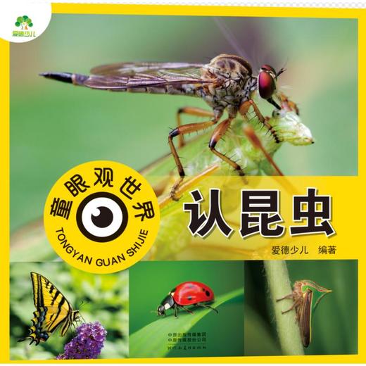 童眼观世界 认昆虫 商品图0