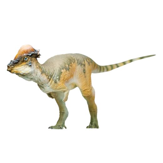 PNSO肿头龙奥斯汀恐龙大王成长陪伴模型46 商品图6