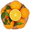 【采购下架】【助农】鑫勇泰秭归纽荷尔甜橙箱重10斤（大果净重9斤，70-80mm） 商品缩略图0