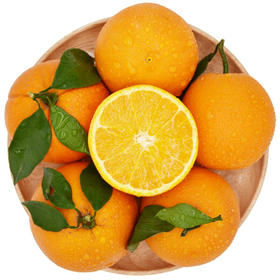 【采购下架】【助农】鑫勇泰秭归纽荷尔甜橙箱重10斤（大果净重9斤，70-80mm）