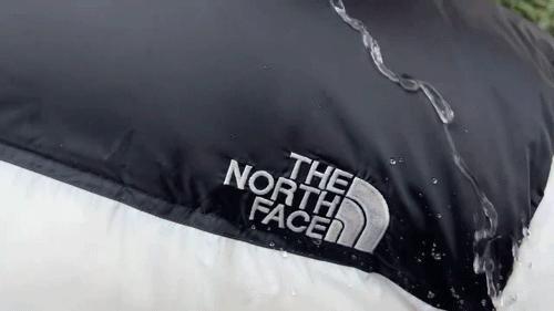 【爆品代理】超值冰点底价【TheNorthFace北面男女同款羽绒服】情侣装多个颜色秋冬保暖时尚百搭 商品图6