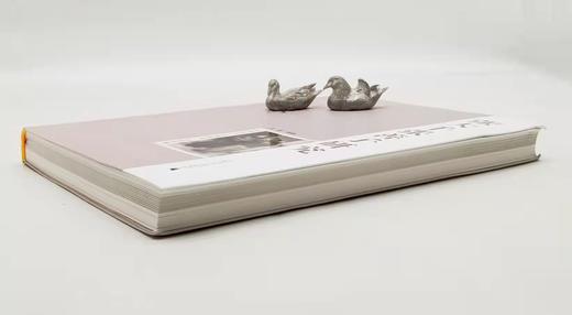 《张大千张善子研究》，16开，软精装，汪毅著，广西师范大学出版社2016年版，定价198，售价59元。品相95成。 商品图2