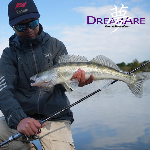 领峰22款24新款梦两节竿枪柄直柄远投泛用虫竿碳纤维翘嘴鲈鱼路亚竿 商品图4