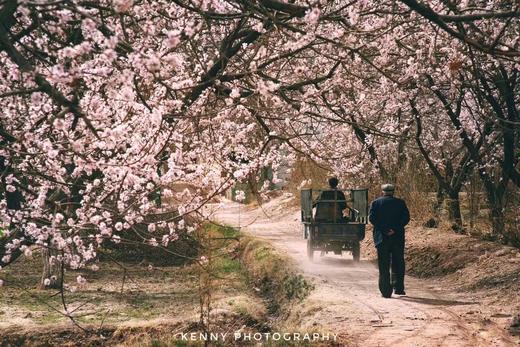 【越野车】南疆昆仑山腹地杏花丨穿越塔莎古道、杏花村、塔尔乡、大小同乡、盘龙古道、中国西极、慕士塔格峰、卡拉库里湖11天摄影团 商品图3