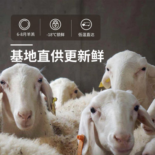 湖州羊肉生鲜礼盒 商品图3